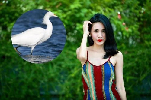 Thủy Tiên bất ngờ bị cò ma cắn mông