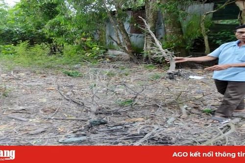 Vợ chồng ông Hải cần khởi kiện vụ việc ra tòa án