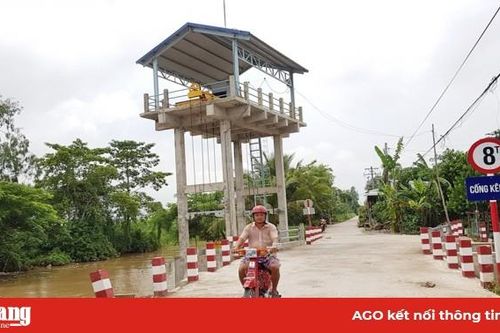 Hiệu quả dự án kiểm soát lũ vùng đê bao Nam Vàm Nao