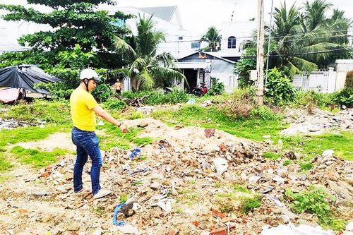 Chôn heo chết do dịch bệnh sát khu dân cư