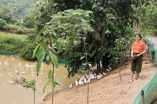 Phát huy hiệu quả tín dụng chính sách trong giảm nghèo bền vững
