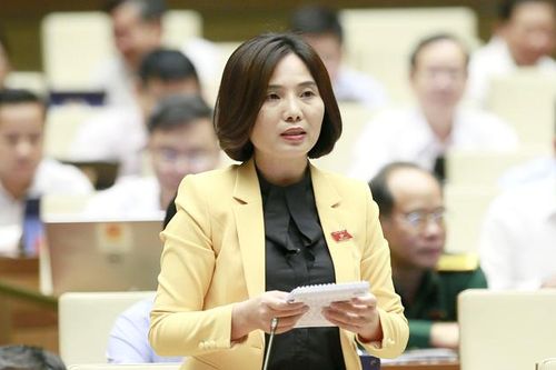 Đại biểu Âu Thị Mai đề nghị Bộ Công thương có giải pháp cho ngành cơ khí phục vụ nông nghiệp