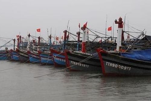 Thừa Thiên Huế kêu gọi hơn 2.000 tàu thuyền vào bờ tránh bão số 6