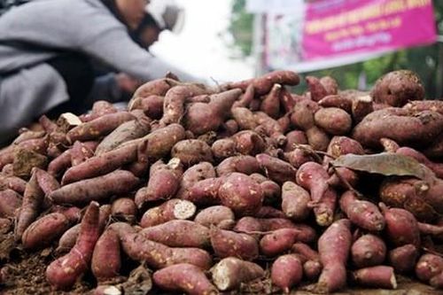 'Tư lệnh' đăng đàn nêu giải pháp 'cứu' nông sản