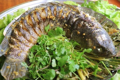 Những bộ phận của cá không nên ăn