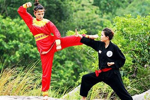 Nghiên cứu để bảo tồn, phát huy võ cổ truyền Bình Định