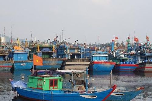 Các tỉnh Nam Trung Bộ chủ động cấm biển, ứng phó bão số 6