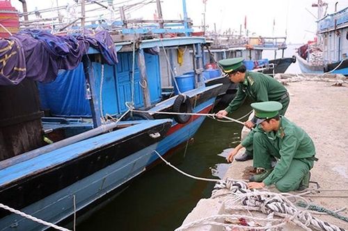 Chuẩn bị đối phó bão số 6