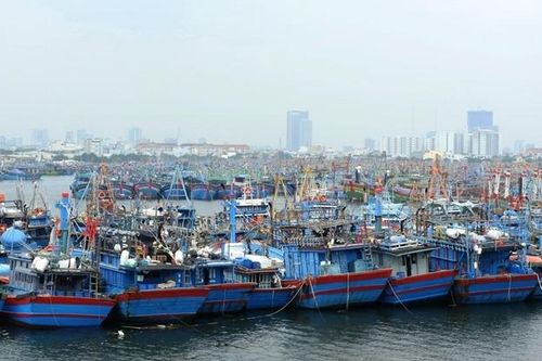 Các địa phương chủ động ứng phó bão số 6
