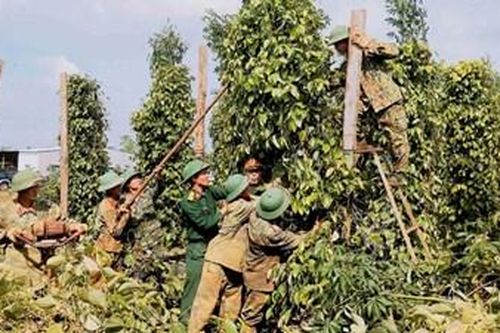 Lữ đoàn Công binh 7 (Quân đoàn 3) điều động 50 cán bộ, chiến sĩ giúp nhân dân khắc phục hậu quả mưa bão