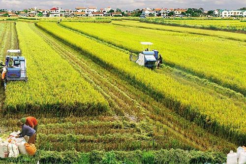 Rào cản doanh nghiệp muốn đầu tư vào nông nghiệp
