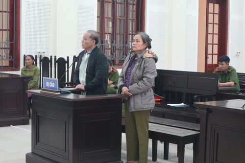 Thủ đoạn tinh vi của cặp tình nhân già lừa đảo chiếm đoạt hàng tỷ đồng