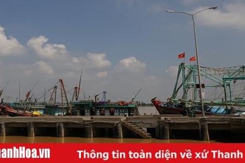 Quy định tiêu chí đặc thù đối với đóng mới, cải hoán, thuê tàu cá
