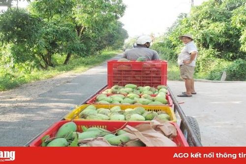 Chuyển đổi sản xuất thích ứng với thị trường