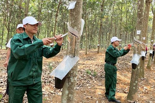 Cải thiện điều kiện, môi trường làm việc cho người lao động