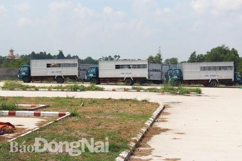Trung tâm dạy nghề lái xe xây dựng trái phép tự tháo dỡ công trình