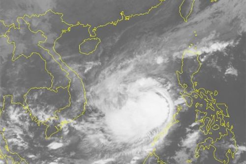 Cấm biển từ trưa 10-11