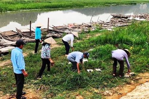 Công đoàn tham gia bảo vệ môi trường