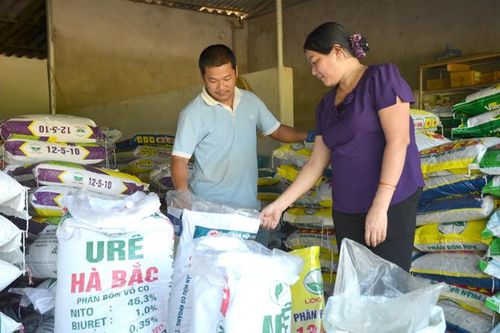 Trang trại kinh tế tổng hợp doanh thu trên 1 tỷ đồng