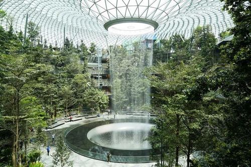 Thiết kế độc lạ của nhà ga sân bay Changi Singapore bị 'tố' đạo ý tưởng