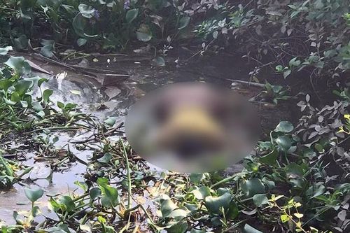 Tìm thấy thi thể người phụ nữ ôm con nhảy cầu tự tử ở Hải Phòng
