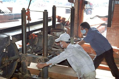 Hà Nội có 2.899 cơ sở kinh doanh chế biến gỗ