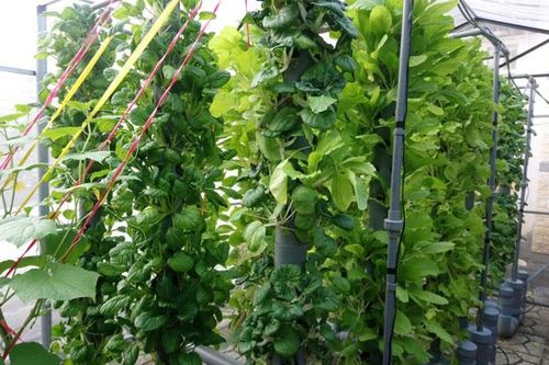 Doanh nghiệp khởi nghiệp khẳng định vị thế