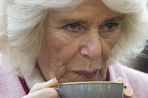 Bà Camilla hủy dự sự kiện chung với vợ chồng Meghan