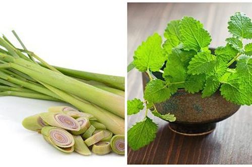 Những cách phòng chống muỗi tại nhà đơn giản và hiệu quả nhất