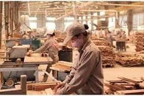 Tiềm ẩn rủi ro với ngành gỗ