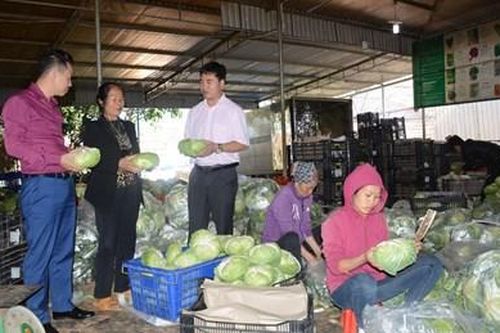Đổi mới tư duy, đẩy mạnh liên kết