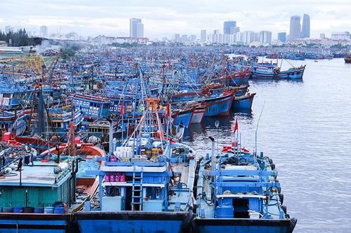 Quân đội huy động hơn 36.000 người ứng phó bão Nakri