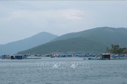 Ứng phó bão số 6: Di dời gần 40.000 lồng bè ở huyện Vạn Ninh, Khánh Hòa