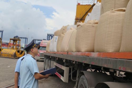 Lo ngại sợi nhập khẩu từ Ấn Độ và Trung Quốc bán phá giá