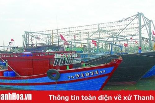 Ngư dân thờ ơ với bảo hiểm tàu cá - Vì sao?