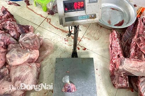 Phát hiện cơ sở giết mổ trên 6 tạ heo bệnh, heo chết
