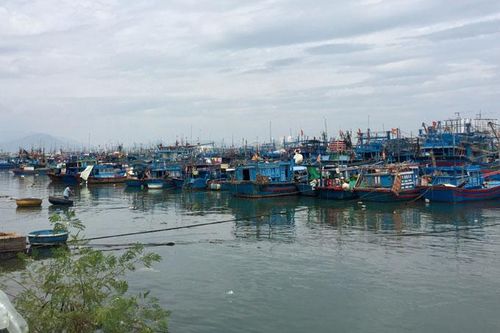 Nha Trang: Chủ động ứng phó bão số 6
