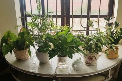 Thi đua thực hiện văn hóa công sở