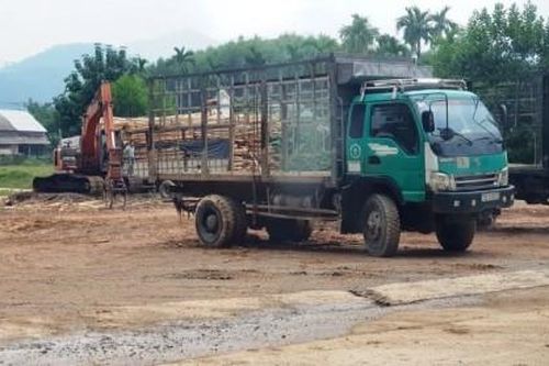 Chính trị - Xã hội Theo dòng thời sự Chấn chỉnh hoạt động các cơ sở thu mua keo tràm ở Nam Đông