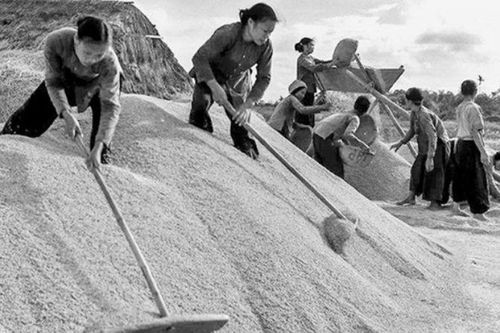 Nhìn lịch sử bằng ký ức đời thường