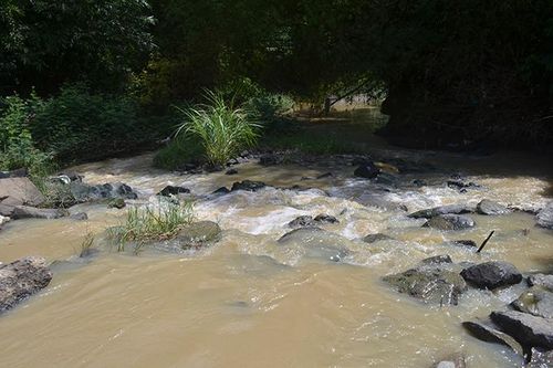 Diên Khánh di dời 154 hộ với 611 người đến nơi an toàn