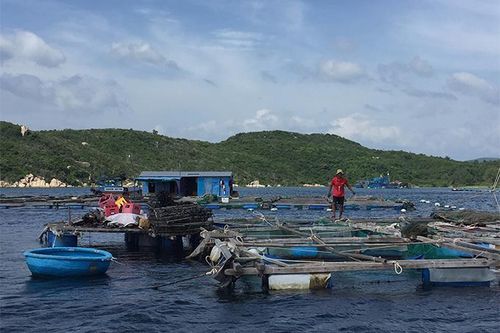 Ông Nguyễn Đắc Tài kiểm tra công tác phòng chống bão trong đêm tại Vạn Ninh