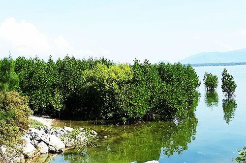 Đánh giá tác động của biến đổi khí hậu