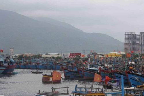 Sẵn sàng đối phó với bão số 6