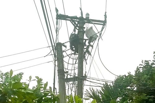 Một nông dân bị điện giật tử vong tại vườn nhà