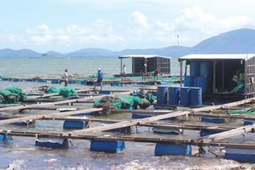 2 người dân 'mắc kẹt' trên lồng bè nuôi tôm, cá