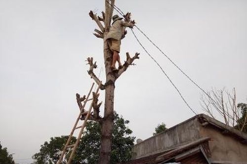 Bão số 6 gây nhiều thiệt hại về người và tài sản, hoa màu