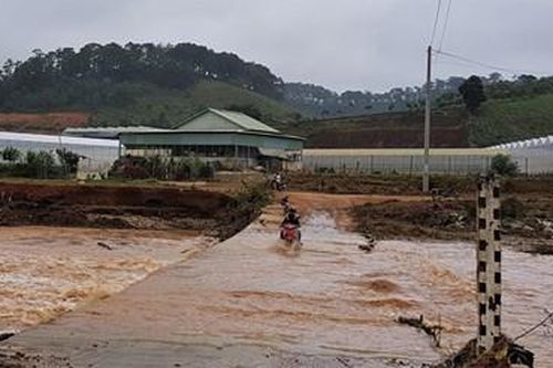 Lâm Đồng: Một người bị lũ cuốn mất tích