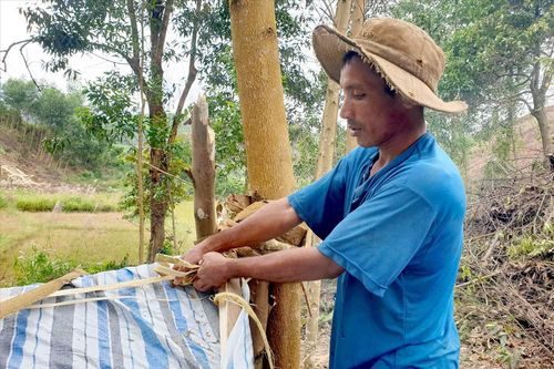 Tiều phu thời hiện đại