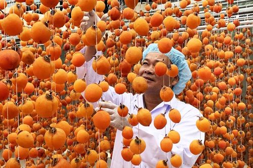 Làng hồng lâu đời nhất miền Nam hồi sinh